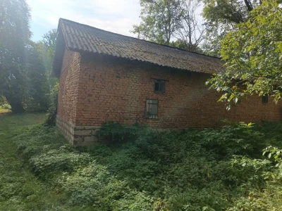Продається земельна ділянка під лісом село Озерна 85 сотих