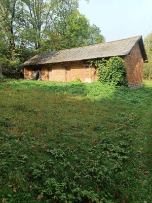 Продається земельна ділянка під лісом село Озерна 85 сотих