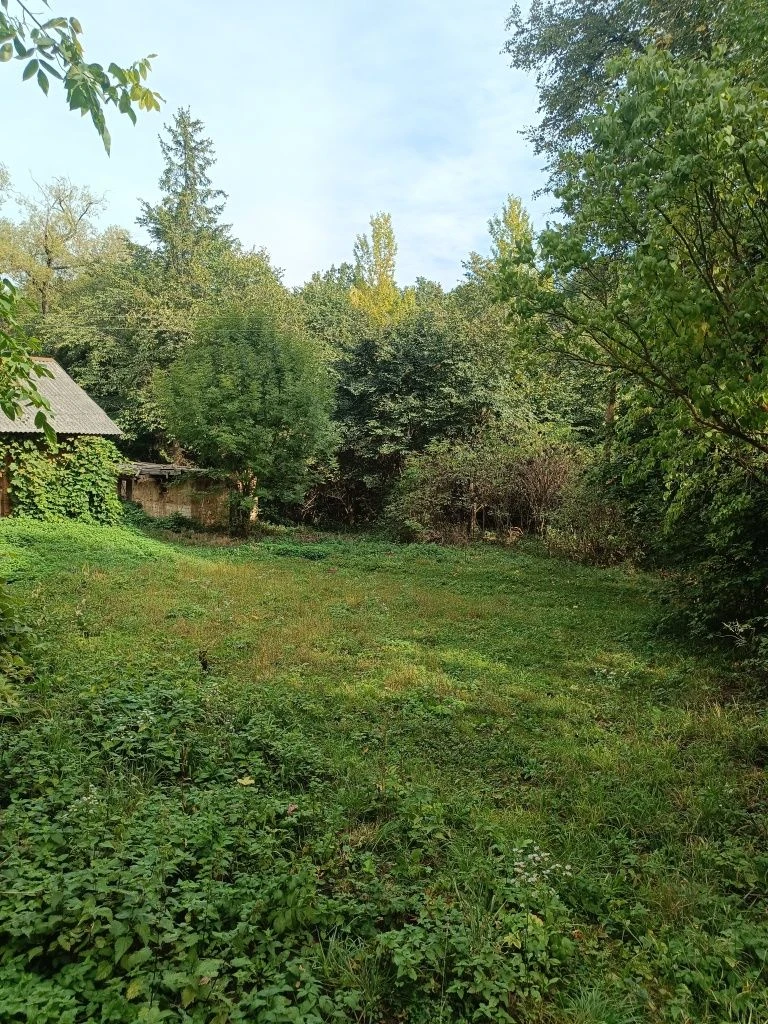 Продається земельна ділянка під лісом село Озерна 85 сотих