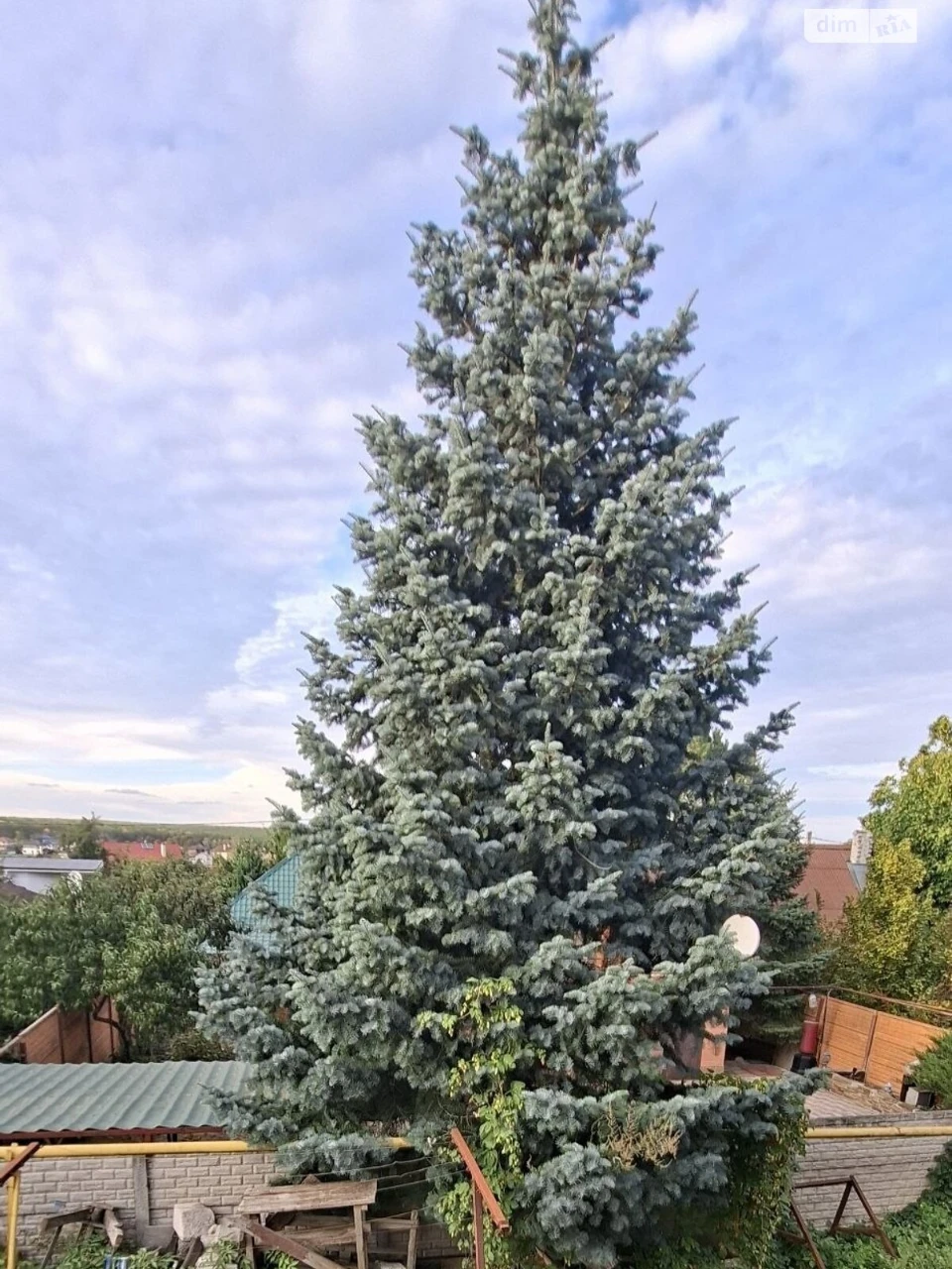 Apartment for Sale in Zalutyn