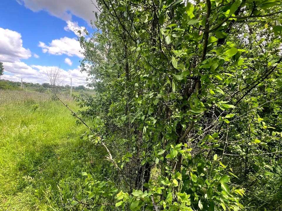 Ділянка. Хмельницький