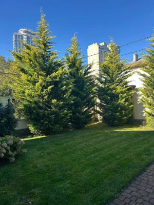 Sale of a House by the Sea | 9th Station of the Great Fountain