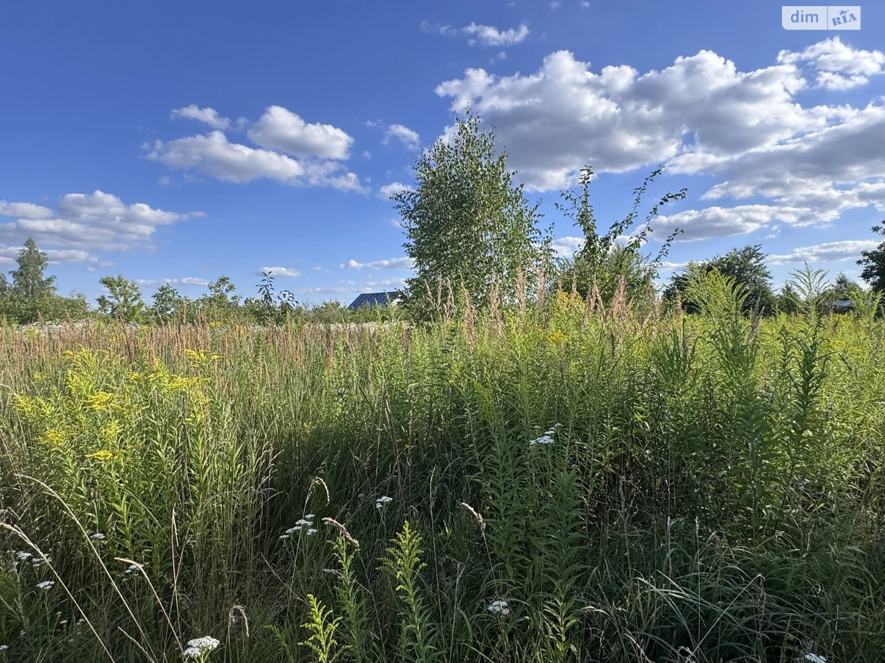 Agricultural land for sale