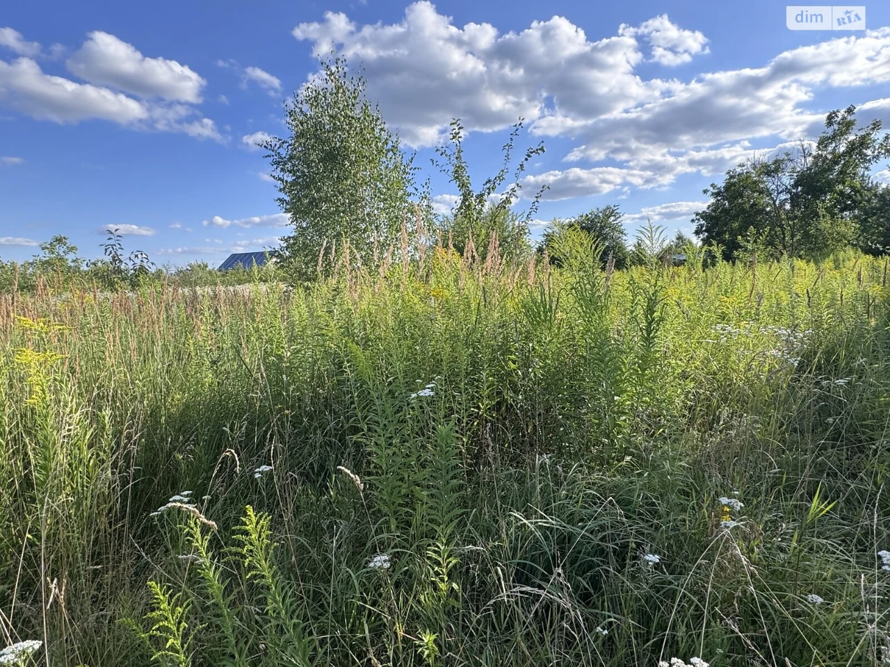 Agricultural land for sale