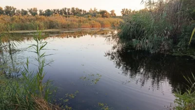продам будинок/ лівий берег/ біля річки/ район 20-ї  лікарні