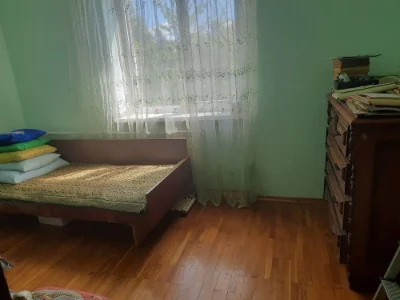 Продам дом на большом Луге
