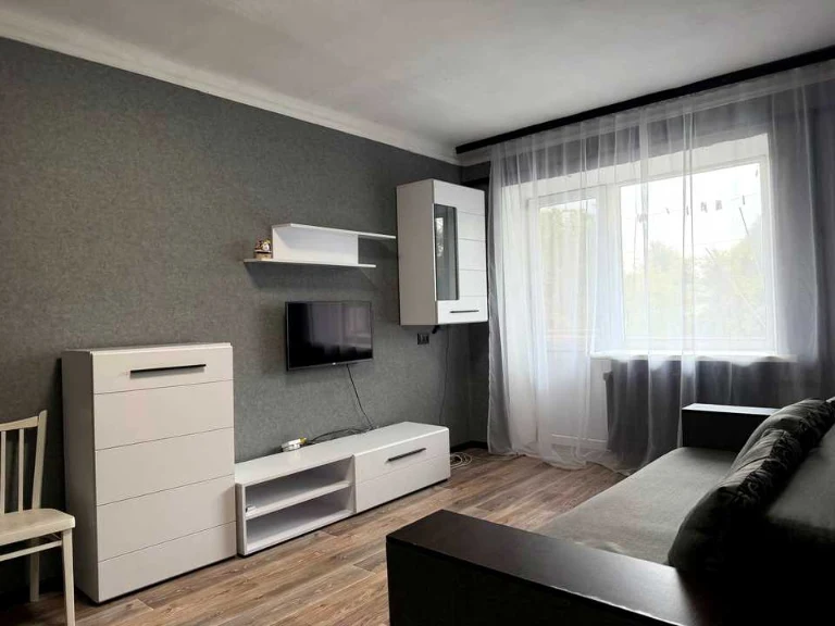 Apartment. Dnipro, Magdalyynska Street