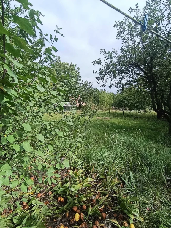 For sale: Cottage on the "Mayak" estate on Dubnivska Street