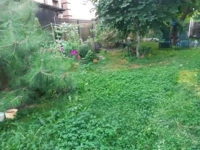 Будинок. Київ, Добровольчих Батальйонів вул.