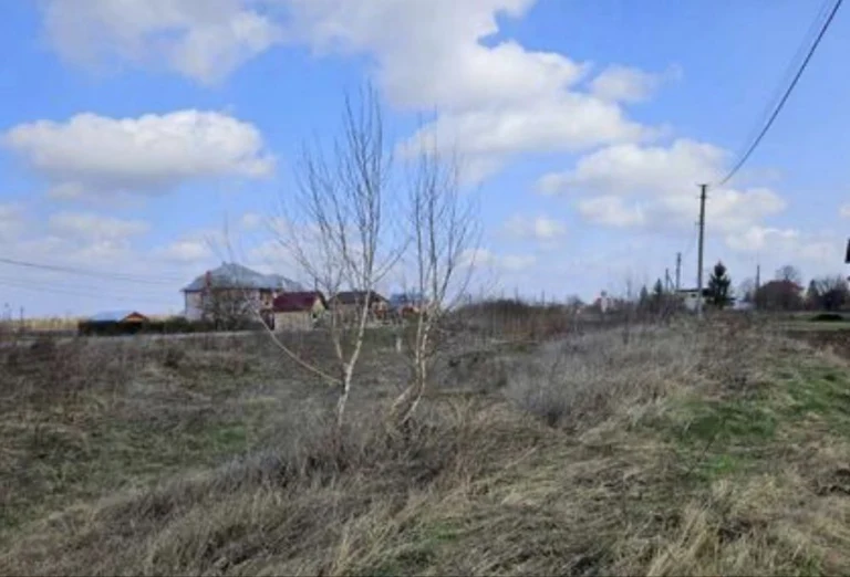 Sale of Land Plot in Tyzhilov