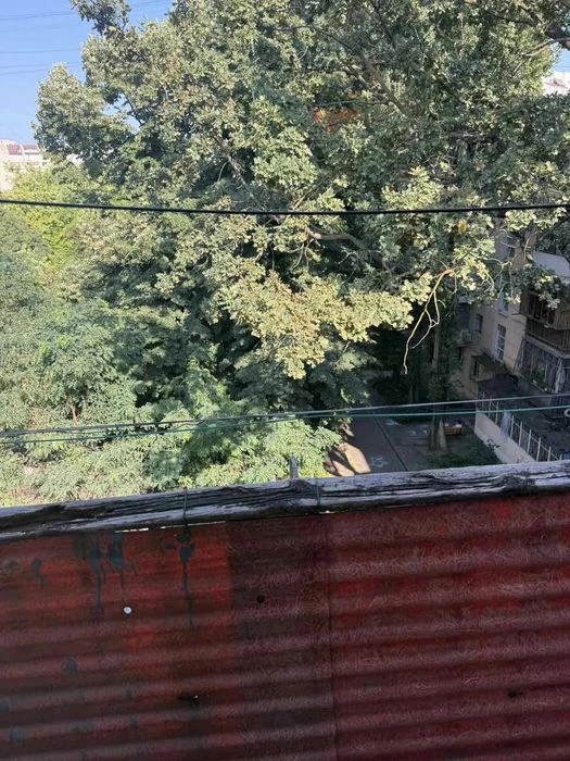 3 комнатная квартира на Сегедской, 496575