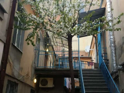 Квартира. Одеса, Успенська вул.