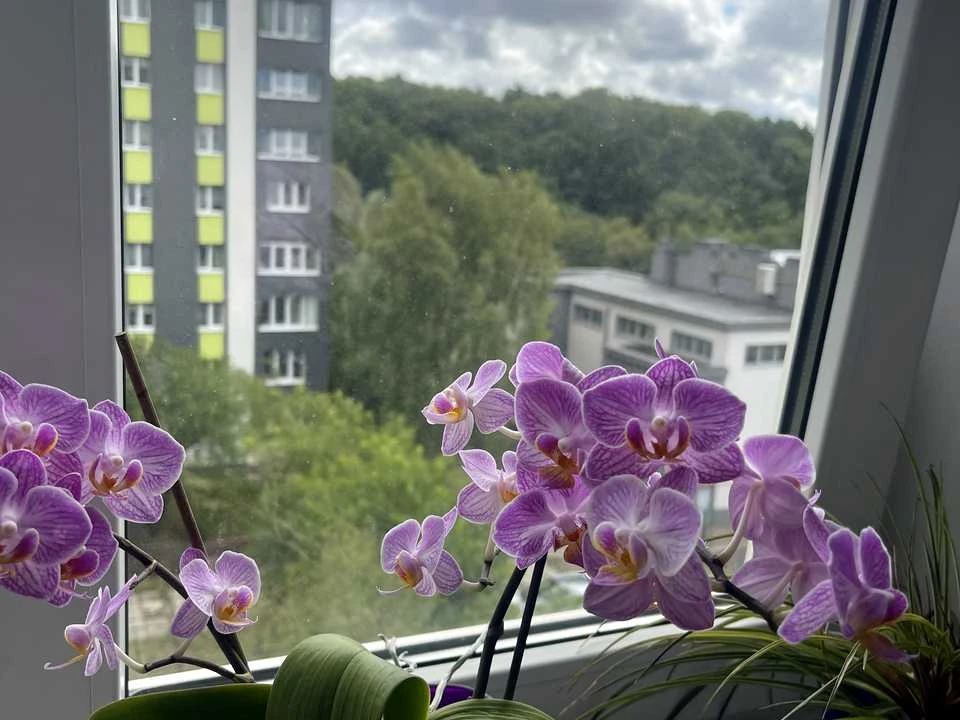 Apartment. Hnat Хоткевича Street, Lviv
