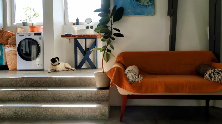 Unique Apartment in the Heart of Kyiv - Taras Shevchenko Street, 11