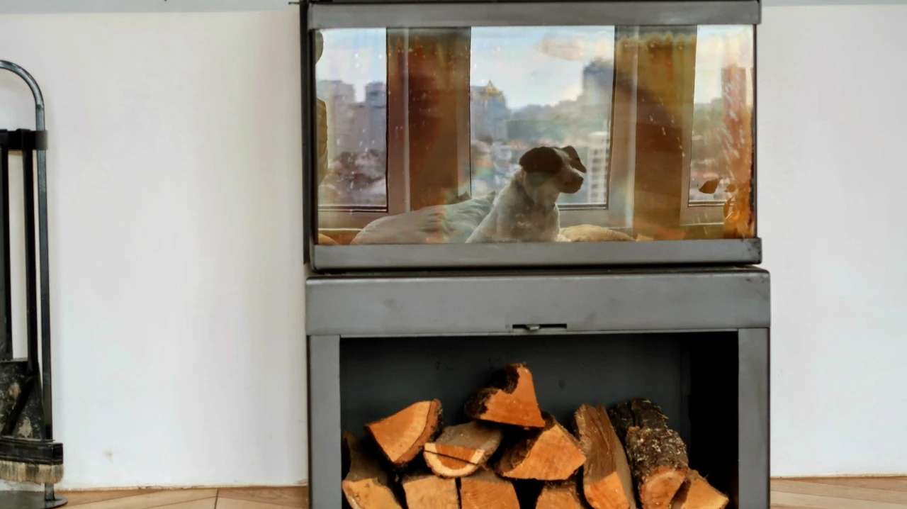 Unique Apartment in the Heart of Kyiv - Taras Shevchenko Street, 11