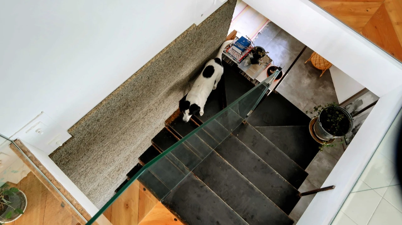 Unique Apartment in the Heart of Kyiv - Taras Shevchenko Street, 11