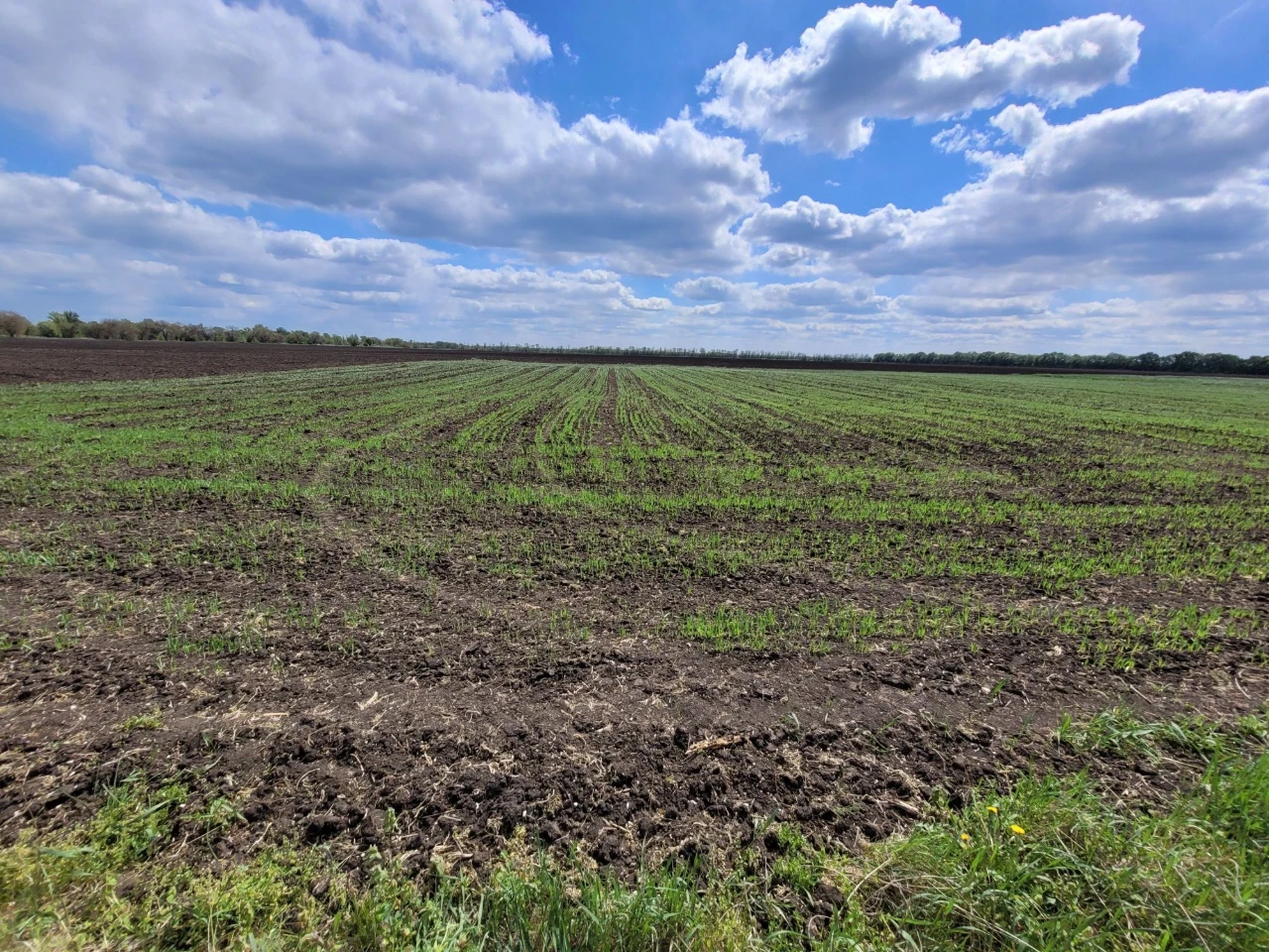 Продам будинок у селі Затишне Самарського району