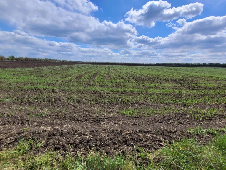 Продам будинок у селі Затишне Самарського району