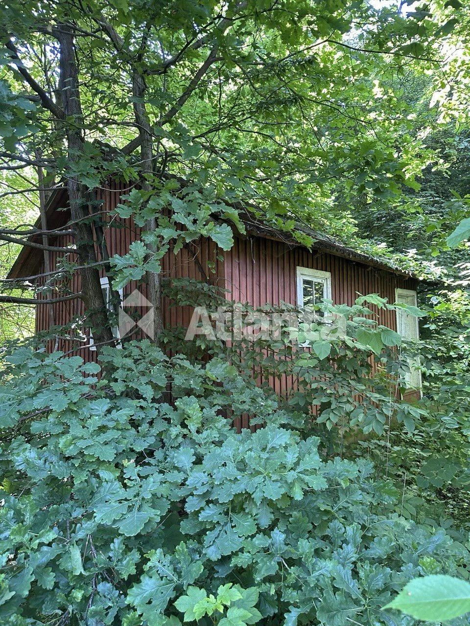 Land Plot 7.99 acres, Genichevsky Street, Kemping, Kalichan