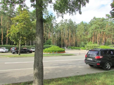 Apartment for Sale in Borshchivka