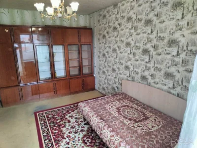Rent 1-bedroom apartment, Borshchivka, Simirenyuk Street 24, with a pet!!