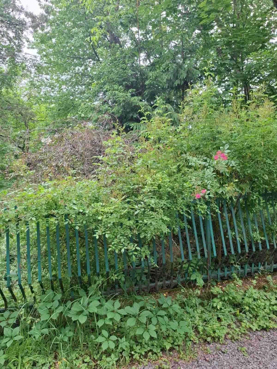 Продажа квартиры от собственника, центр города, с участком