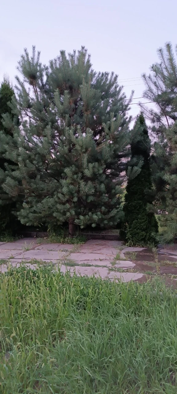 продам ділянку землі