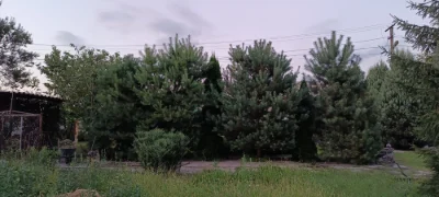 продам ділянку землі
