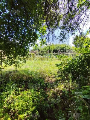 For Sale: Beautiful House in Zhuravlevka