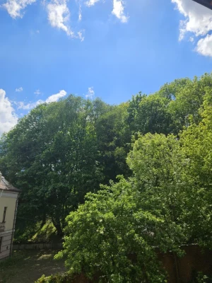 3-room apartment near the Culture Park
