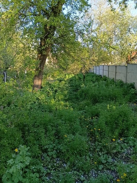Продам половину цегляного будинку центр Житомира 51500$