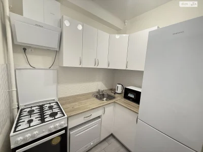 Long-Term Rental Apartment, Holosiiv