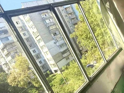 Apartment. Oleksandra Koshitsa Street, Lviv