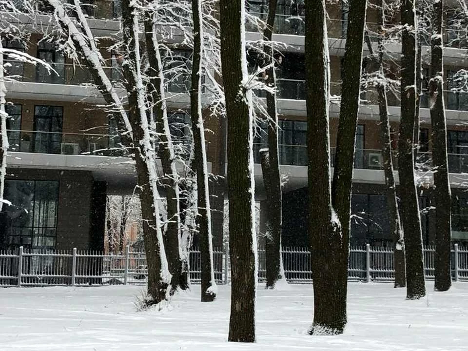 Apartment. Kyiv, Berezne Brosvy Street