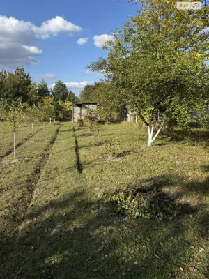Продажа земельного участка под сельскохозяйственным назначением