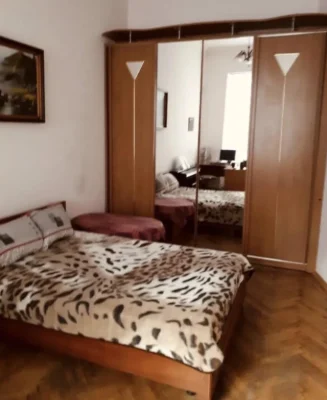 1-room apartment in Sakhagans'kyi, Center