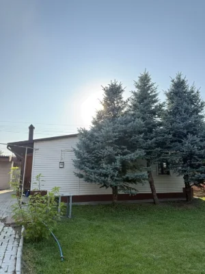For Sale: House in Piddneprovsk
