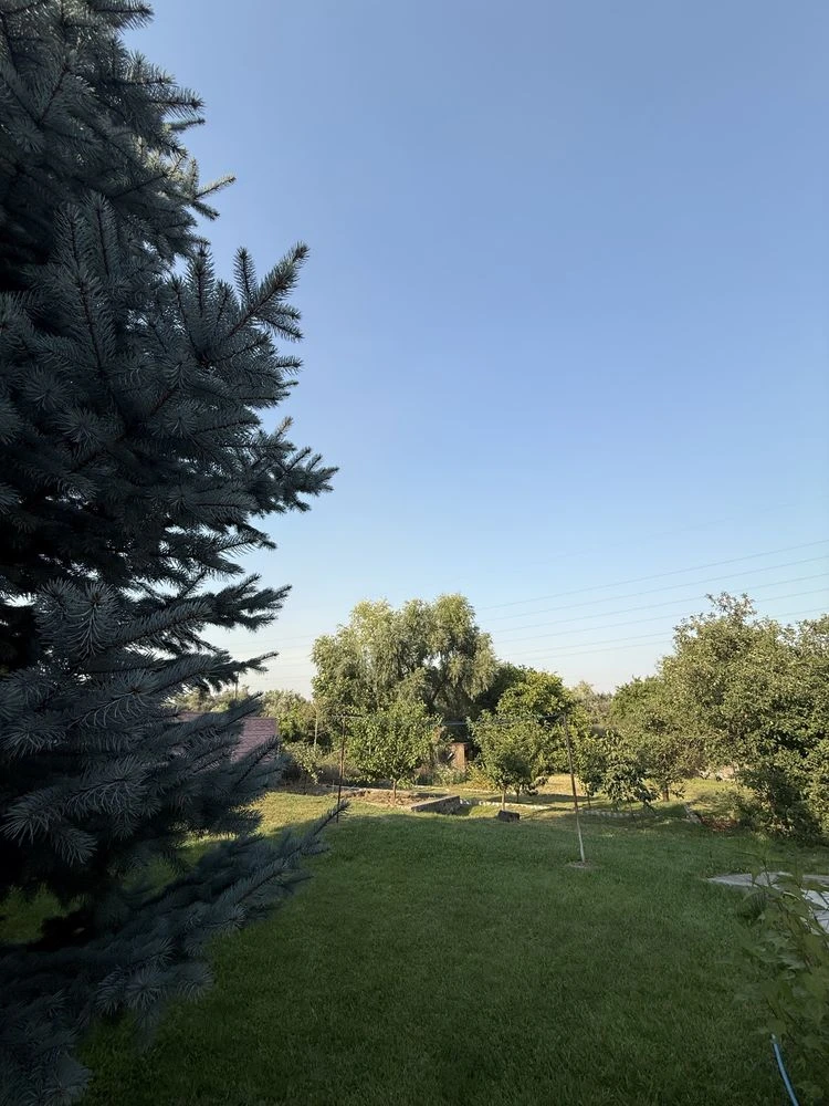 For Sale: House in Piddneprovsk