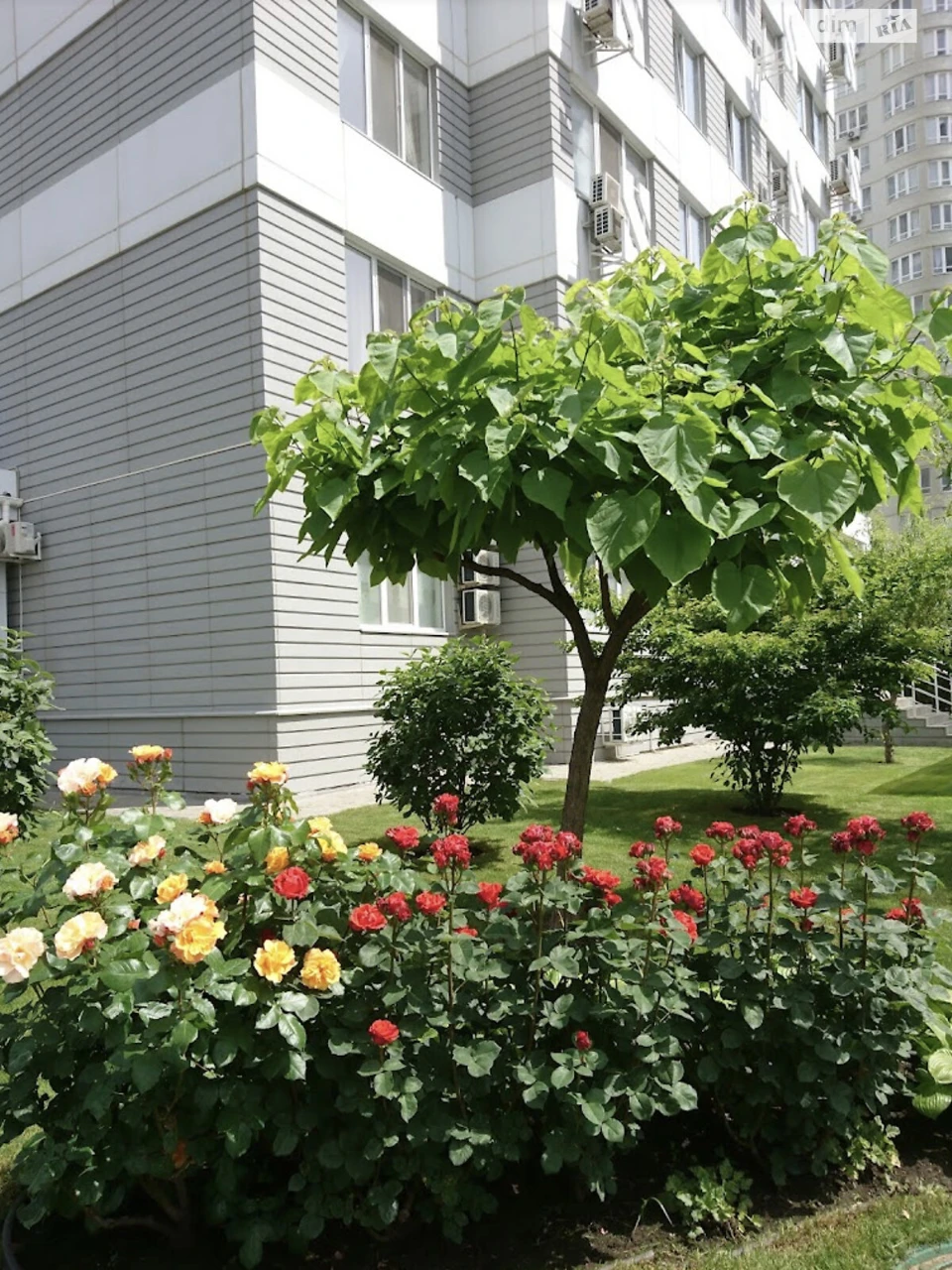 Long-Term Rental Apartment in Chubayivka