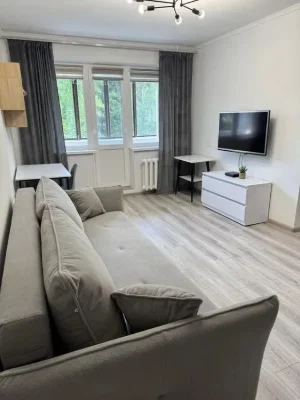 Sale of a 1-bedroom apartment in the Zalesnky district near Motozavod