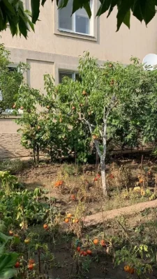 120M² House on Slobodke • 3 bedrooms, stove, heated floor • Garden 2
