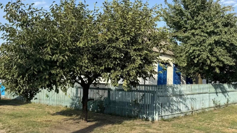 Продам дом в Синельниково