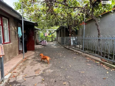 Sale: House in Persypsky