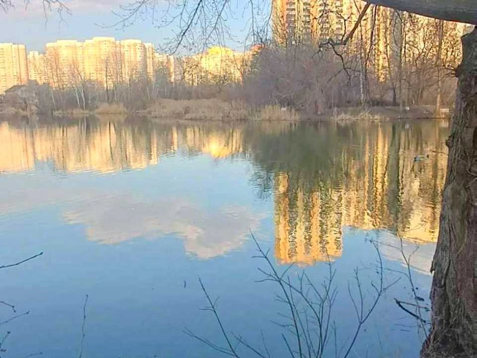 Квартира. Киев, улица Урловская.