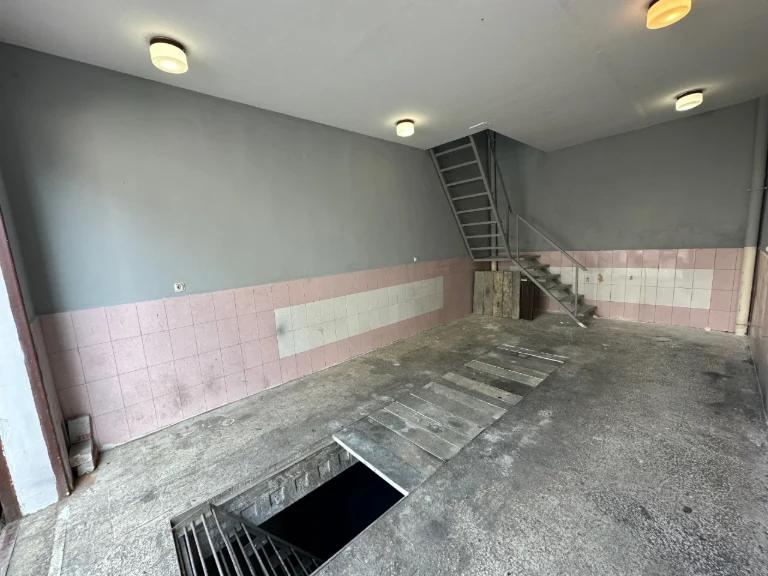 Garage 76 sq.m. GK Barvynok, Novomostytska Street 25, Vinohrad
