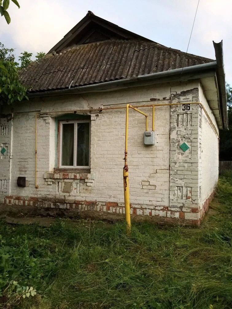 House in the village of Budi, Vinnytska Oblast, Haysyn District