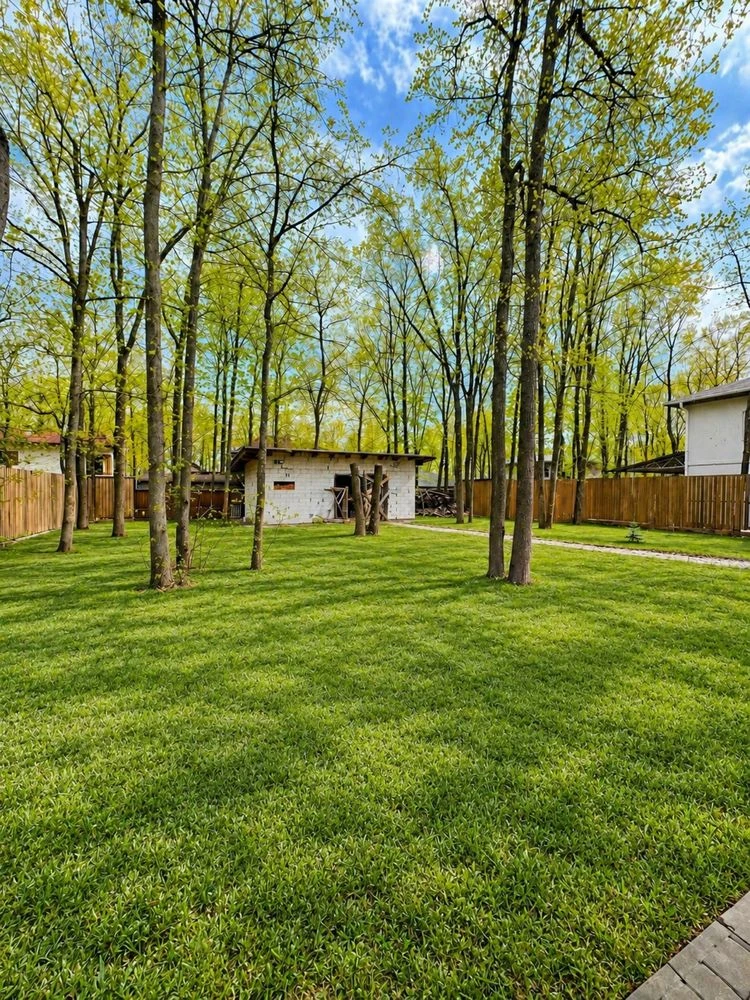 Modern Cottage in Forest, Park House, Lesnoe