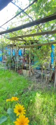 Продам дачу, низ ул. Андрейченко. Тихое, спокойное место. ос