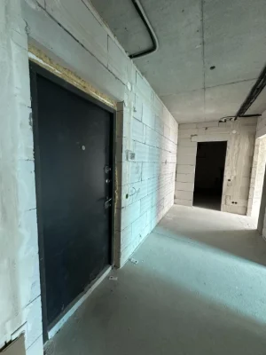 Новостройка рядом с городским озером