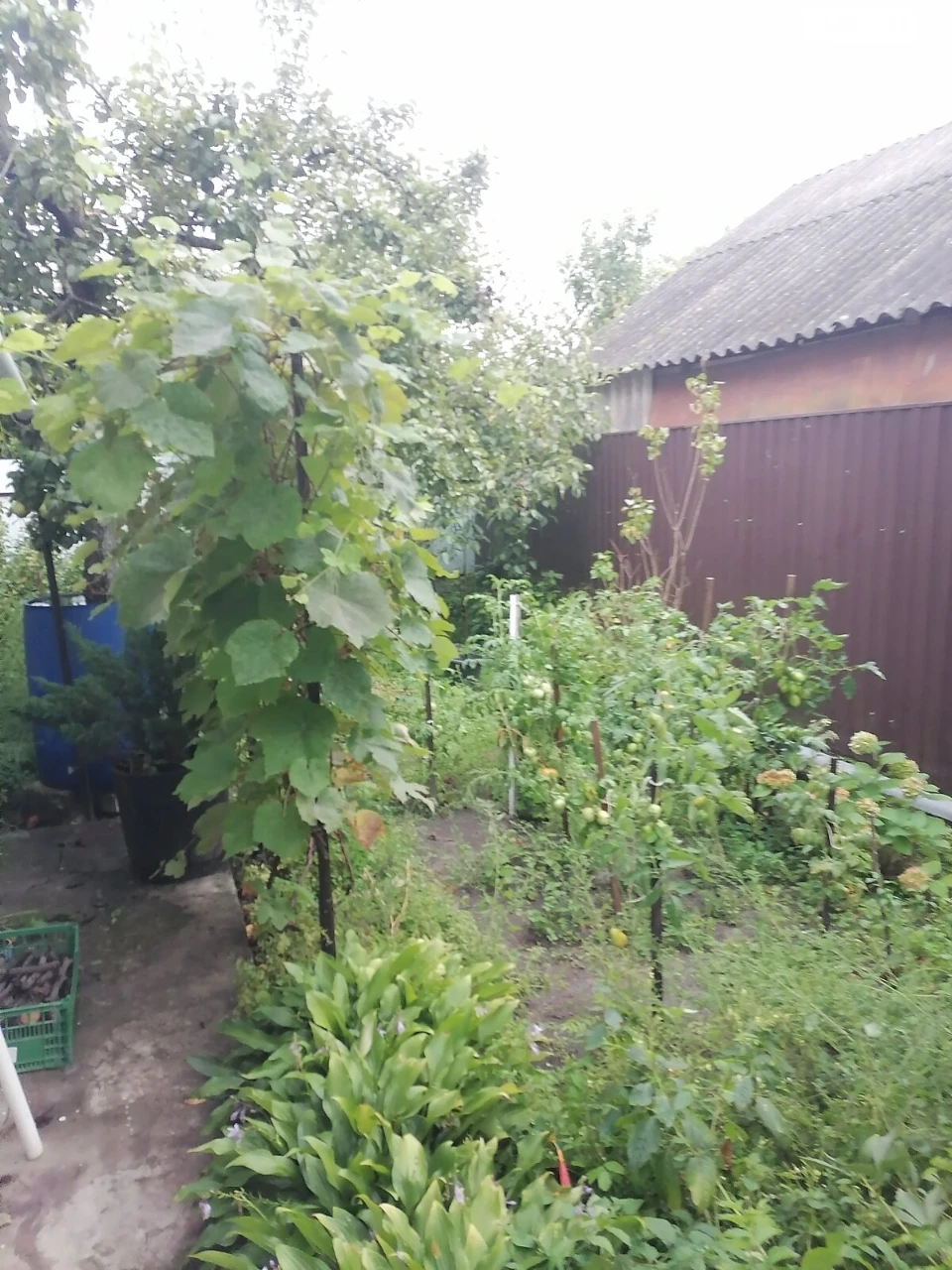 Продаж Частина будинку Крошня